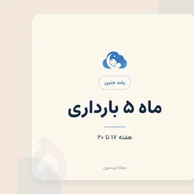 رشد جنین در هفته‌های ۱۷ تا ۲۰؛ حواس، پوست و حرکت